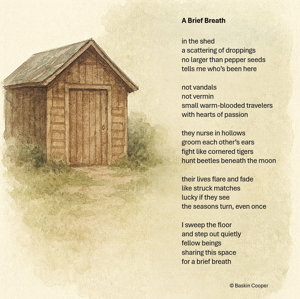 A Brief Breath